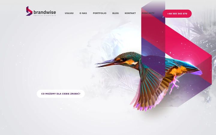 Screenshot ta' brandwise.pl