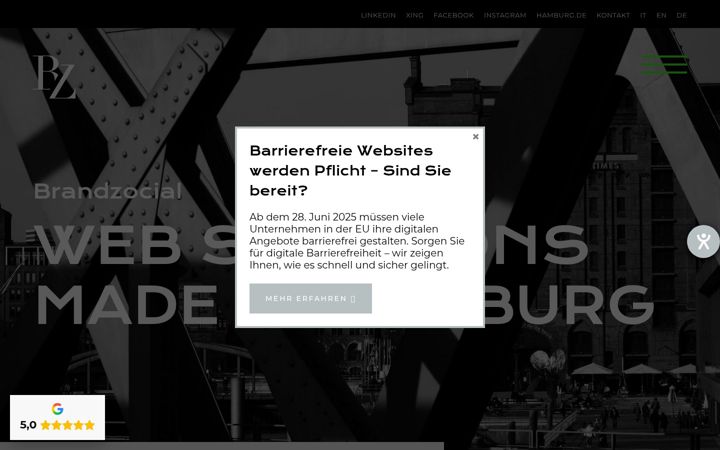 Screenshot of brandzocial.com