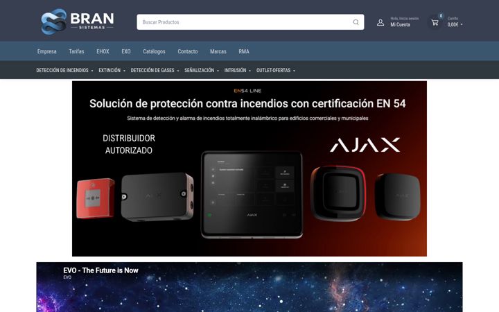 Screenshot of bransistemas.com