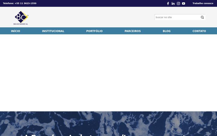 Captura de pantalla de braschemical.com.br