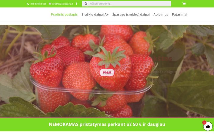 Screenshot of braskiuguru.lt