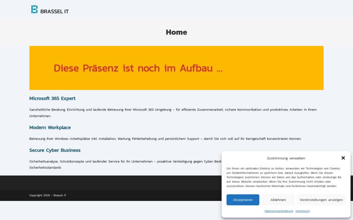 Screenshot of brassel.biz