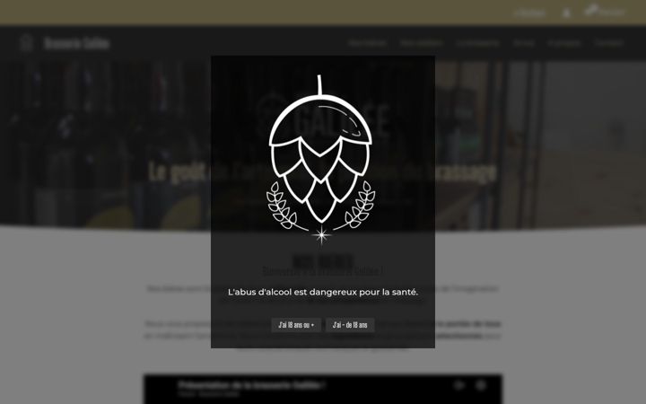 Екранна снимка на brasserie-galilee.fr