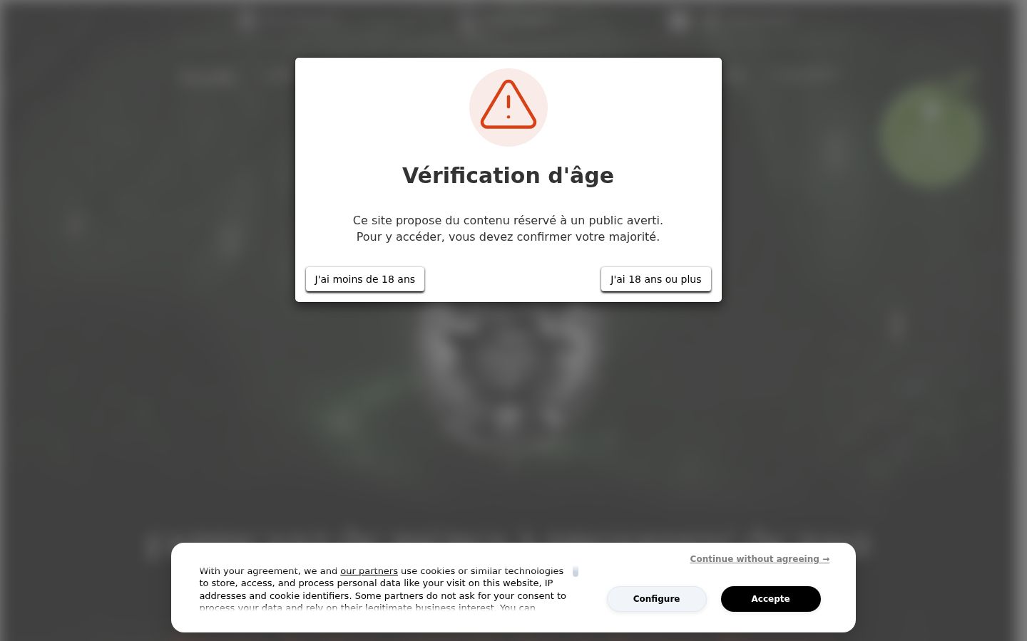 Skærmbillede af samtykkebanneret, som det blev vist før nogen interaktion