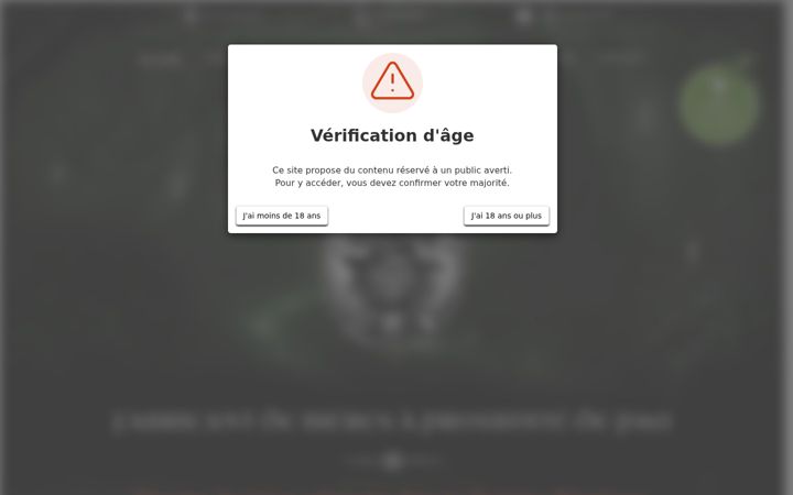 Screenshot of brasserie-greenwitch.fr