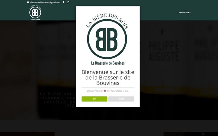 Screenshot of brasseriebouvines.com