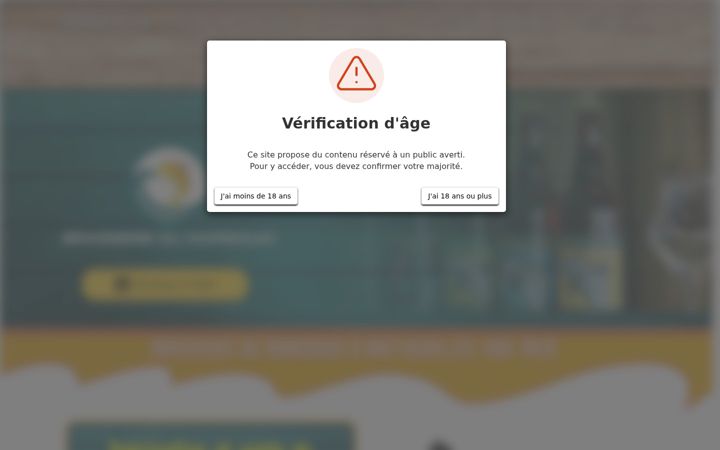 Screenshot of brasseriedumarsouin.fr