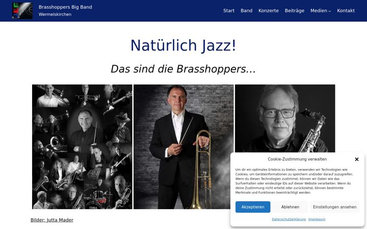 Screenshot of brasshoppers.de