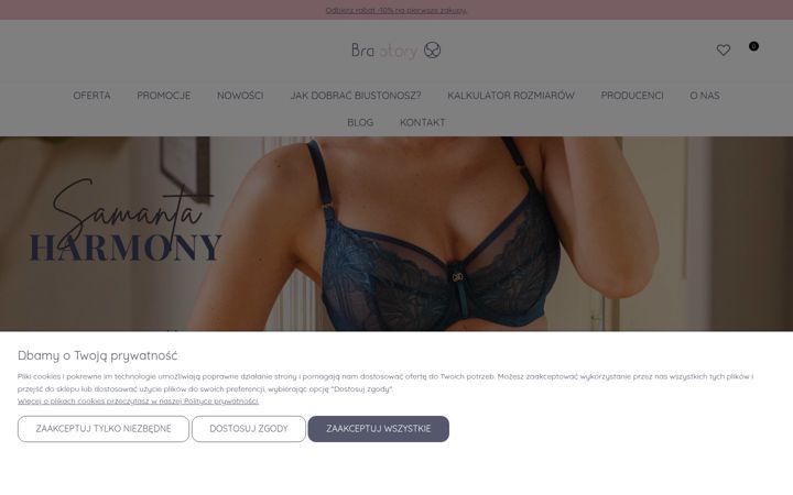 Screenshot of brastory.pl