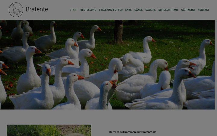 Screenshot of bratente.de