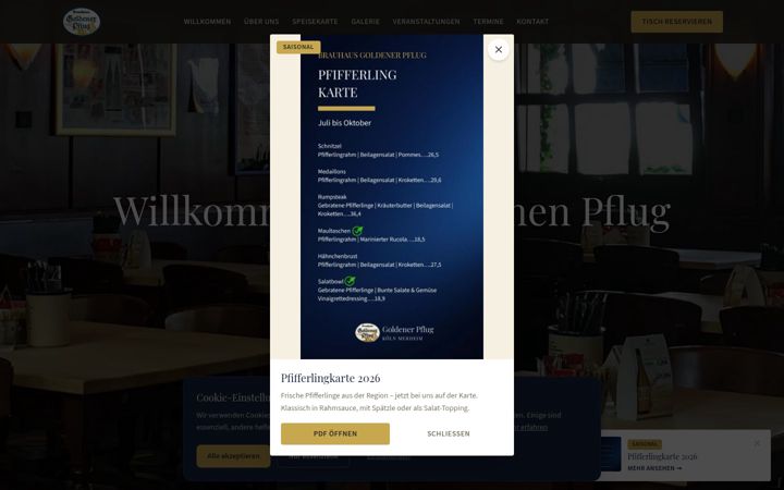 Screenshot of brauhaus-goldener-pflug.de