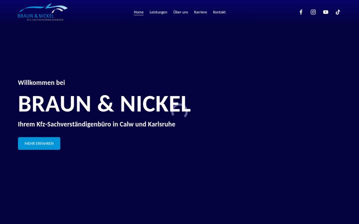 Screenshot of braun-nickel.de