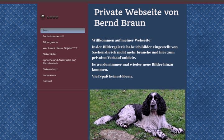 Screenshot of braunbernd.de