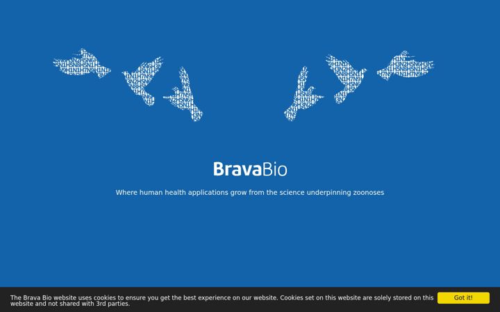 Screenshot of brava.bio