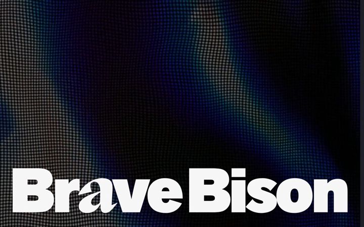 Screenshot of bravebison.com