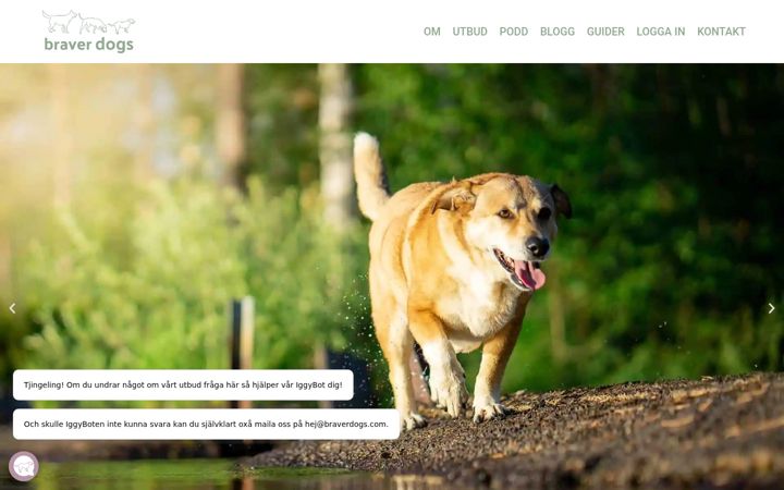 Screenshot of braverdogs.com