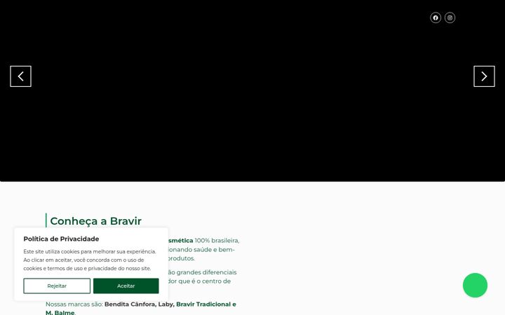 Screenshot of bravir.com.br