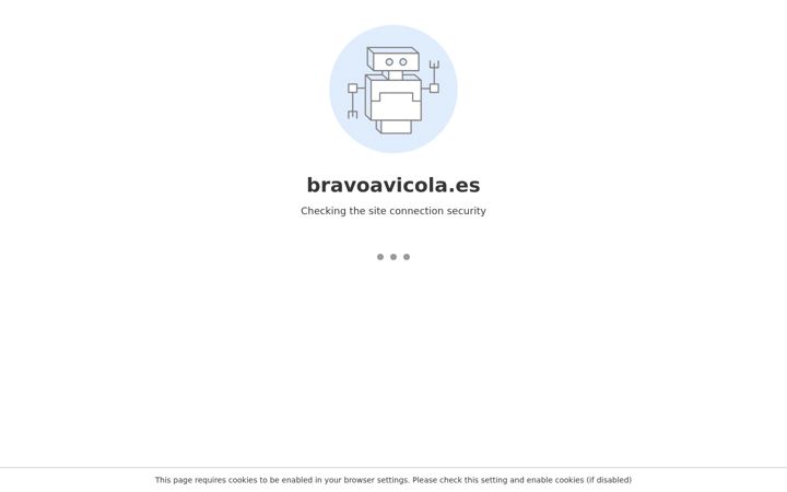Screenshot of bravoavicola.es