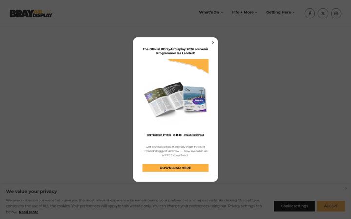 Screenshot of brayairdisplay.com