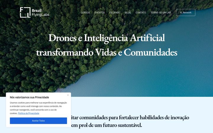 Screenshot of brazilflyinglabs.org.br