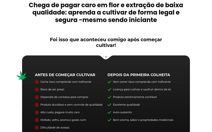 Screenshot ta' brazilianstrainsacademy.com.br
