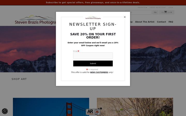 Screenshot of brazisphotography.com