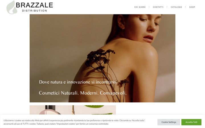 Screenshot of brazzaledistribution.com