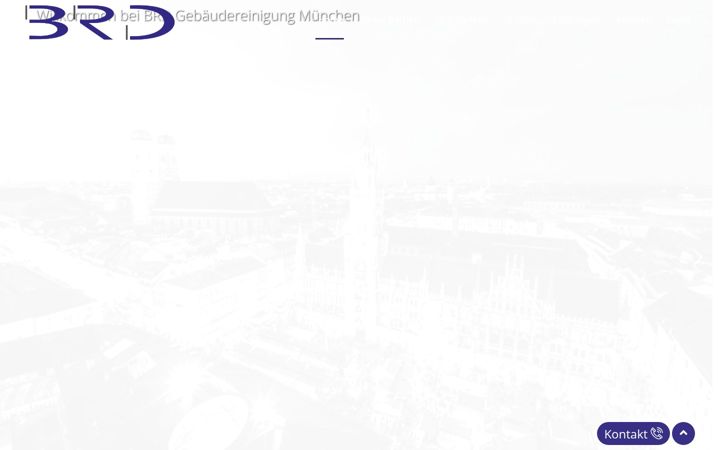 Screenshot of brd-service.net