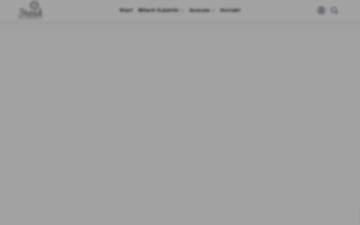 Screenshot of break-billard-light.com