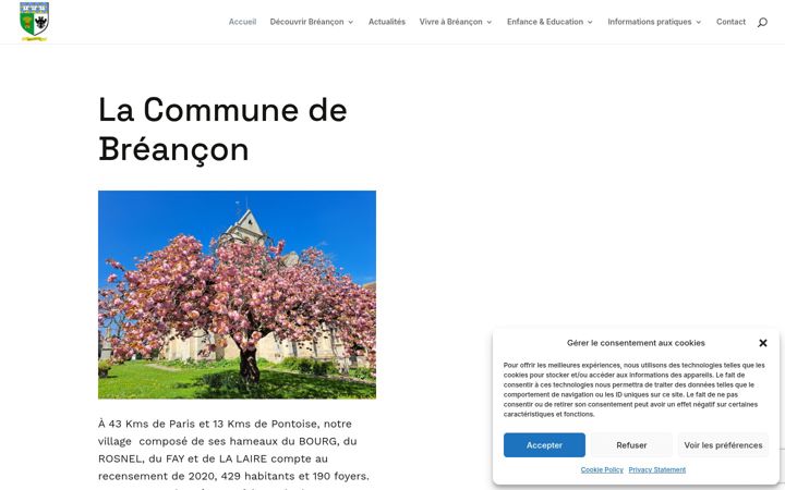 Screenshot of breancon.fr