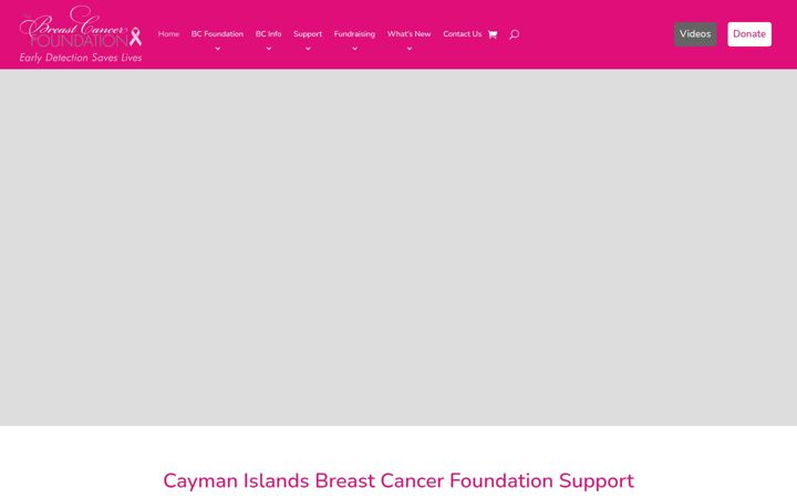 Екранна снимка на breastcancerfoundation.ky
