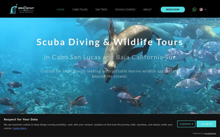 Screenshot of breatheoutbaja.com