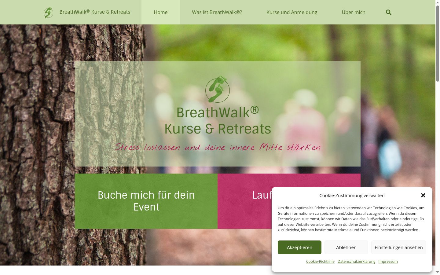 Screenshot of the consent banner shown before any interaction