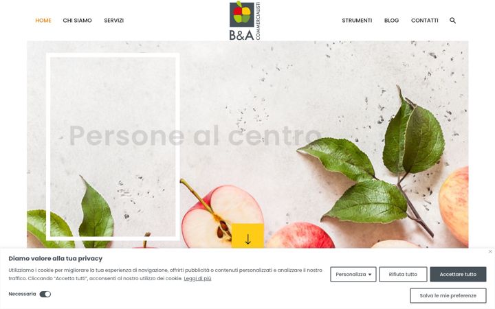 Captură de ecran a brecciaeassociati.it
