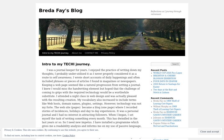 Screenshot of bredafay.com