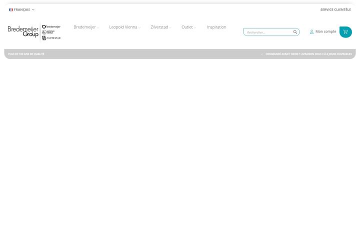 Screenshot of bredemeijer.fr
