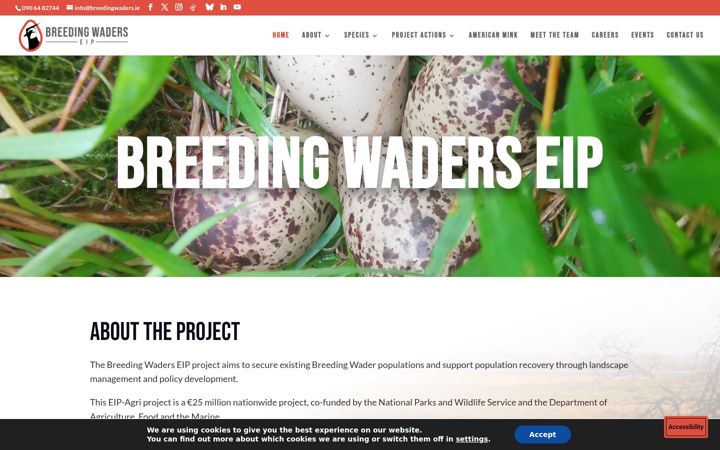 Captură de ecran a breedingwaders.ie