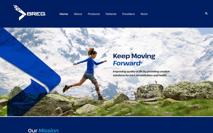 Screenshot of breg.com