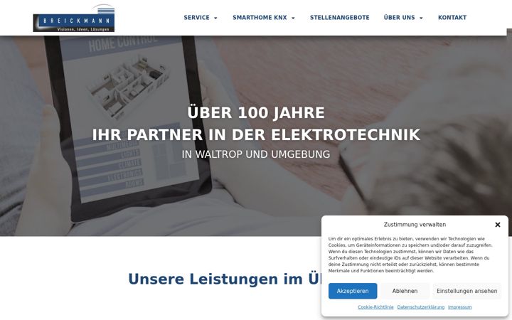 Screenshot of breickmann.de