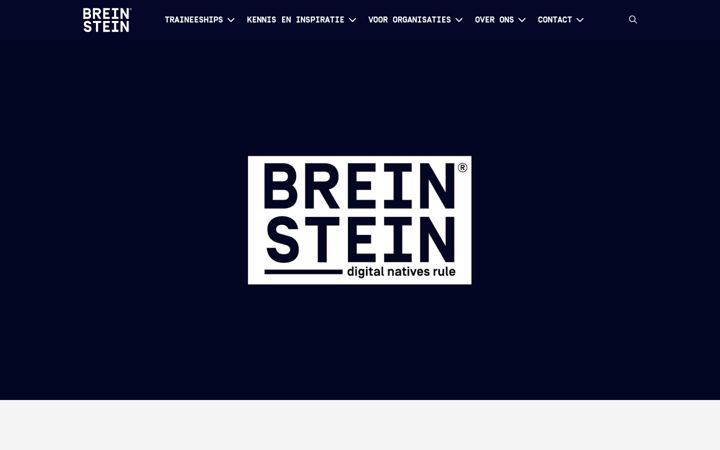 breinstein.nl