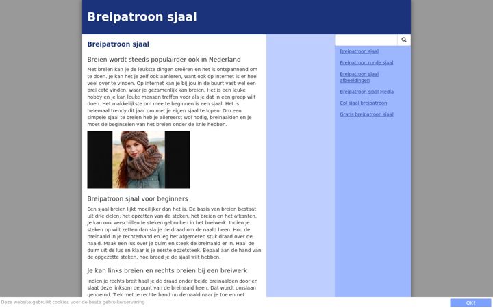 Screenshot of breipatroonsjaal.nl