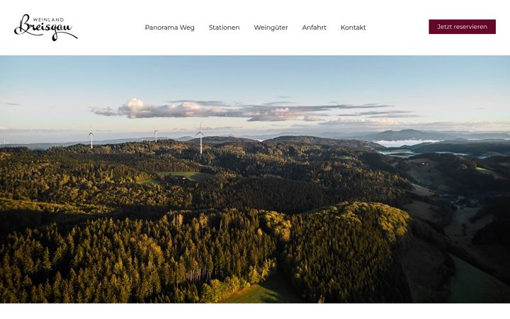Snimka zaslona za breisgauer-weinwanderung.de