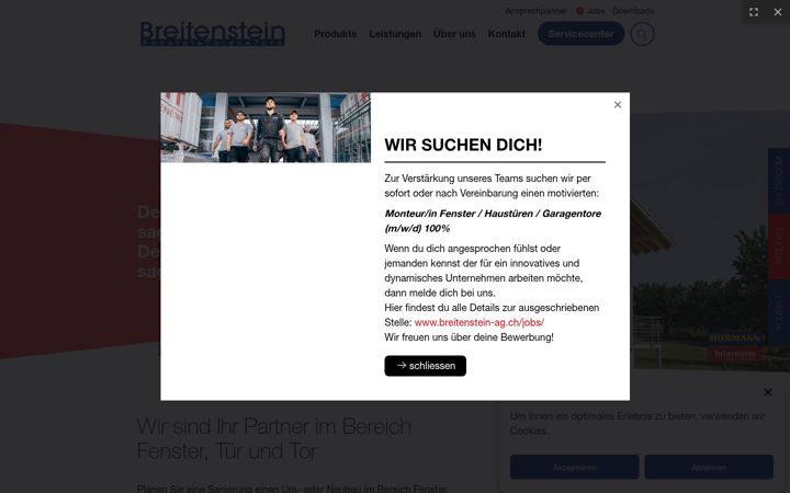 Screenshot of breitenstein-ag.ch