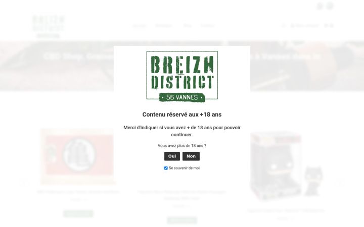 Screenshot of breizh-district.com