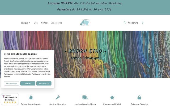 Screenshot of breizhetho.com