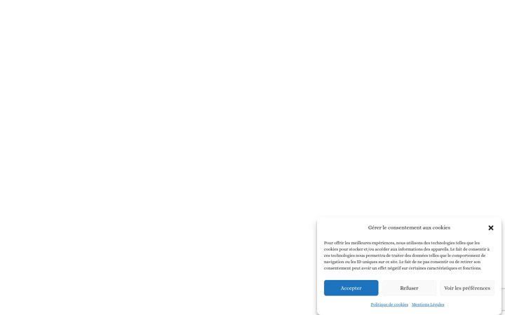 Screenshot of breizhpurindeplante.com