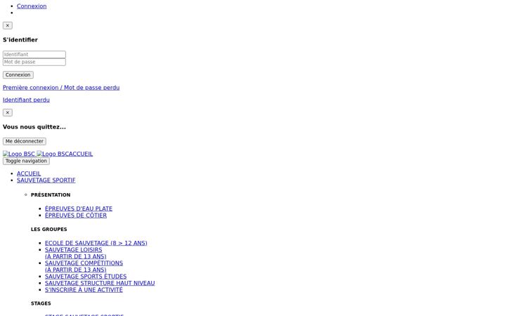 Screenshot of breizhsauvetage.fr
