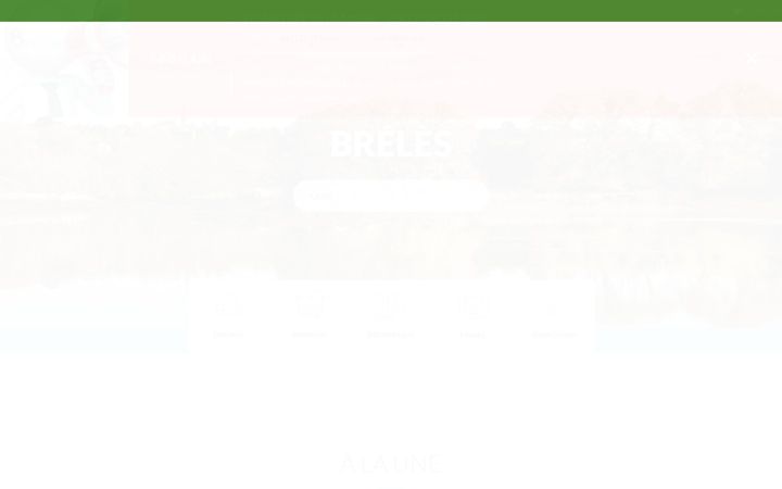 Screenshot of breles.fr