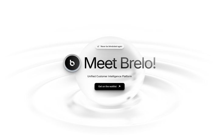 Screenshot of brelo.ai
