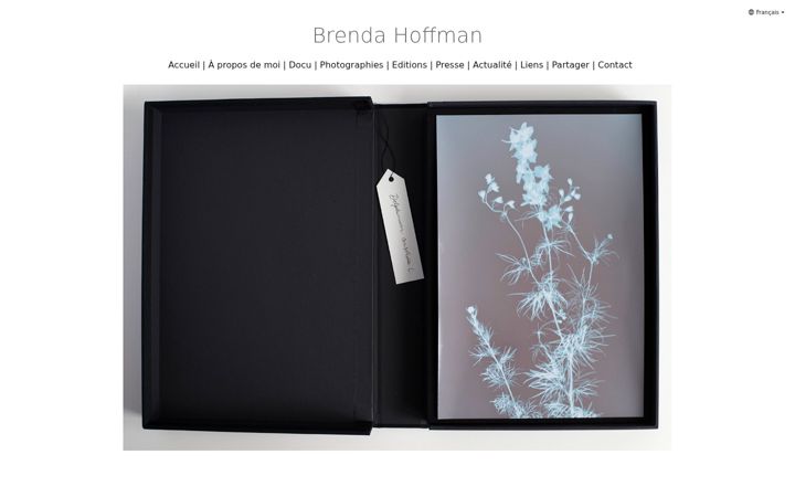 Screenshot of brendahoffman.fr